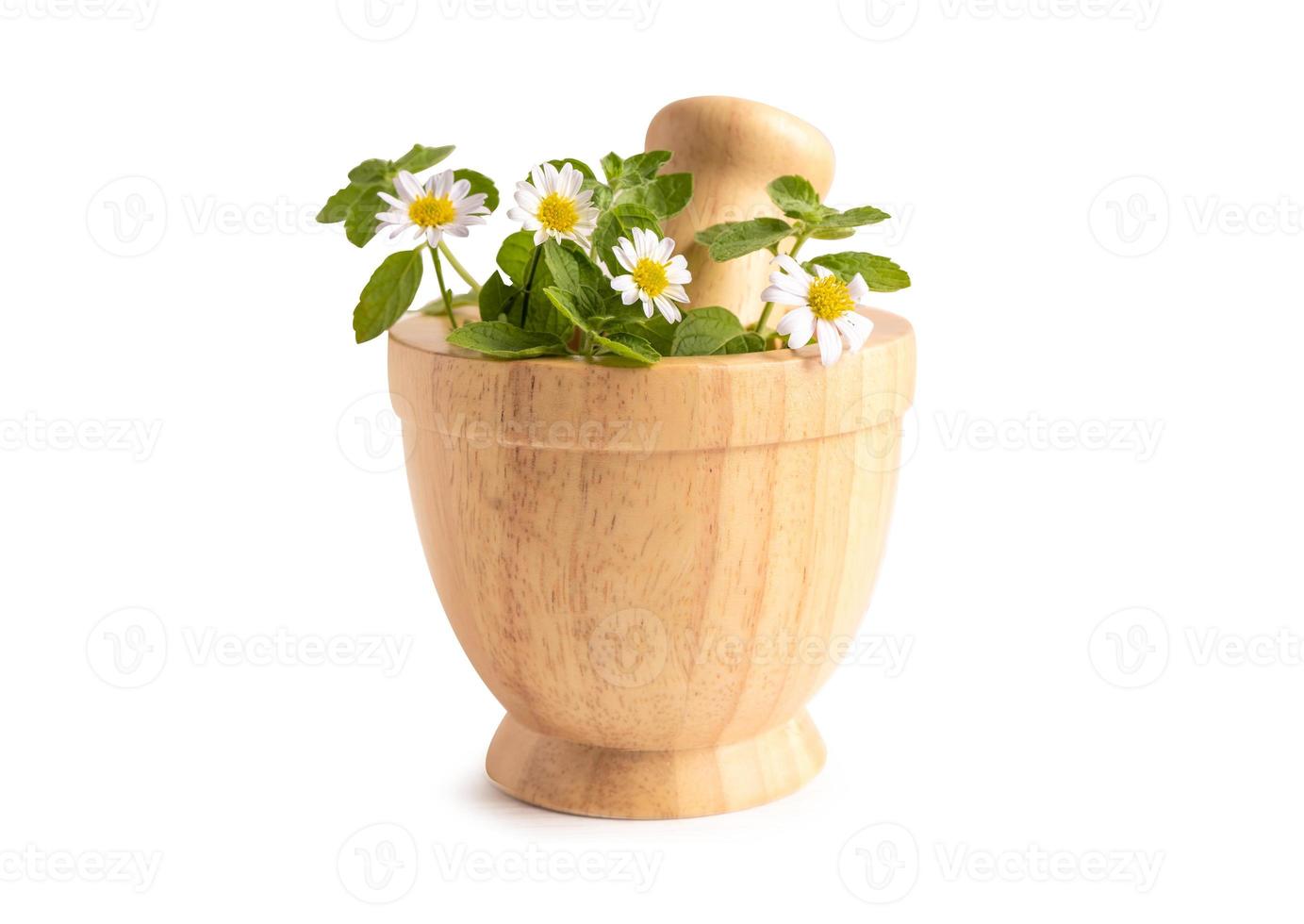 alternative médicament à base de plantes BIO, drogue avec herbes fleur et feuille Naturel suppléments pour en bonne santé bien vie. photo