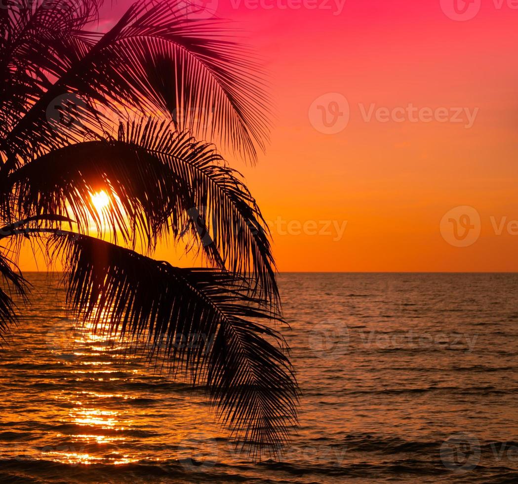 magnifique le coucher du soleil tropical plage avec paume arbre sur ciel pour Voyage et vacances photo