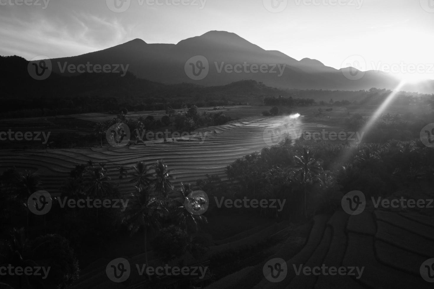 magnifique Matin vue Indonésie. panorama paysage paddy des champs avec beauté Couleur et ciel Naturel lumière photo