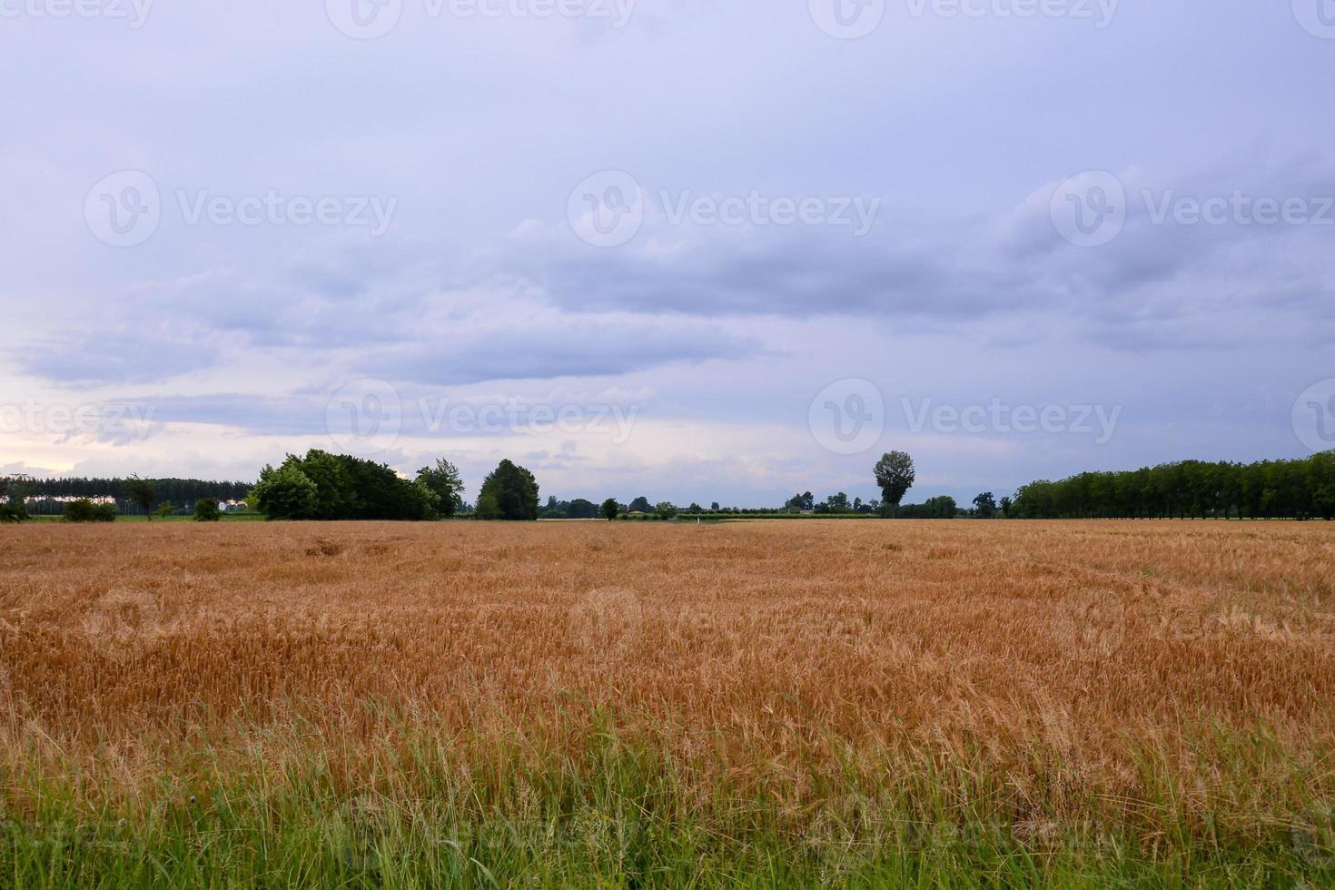 scénique rural paysage photo