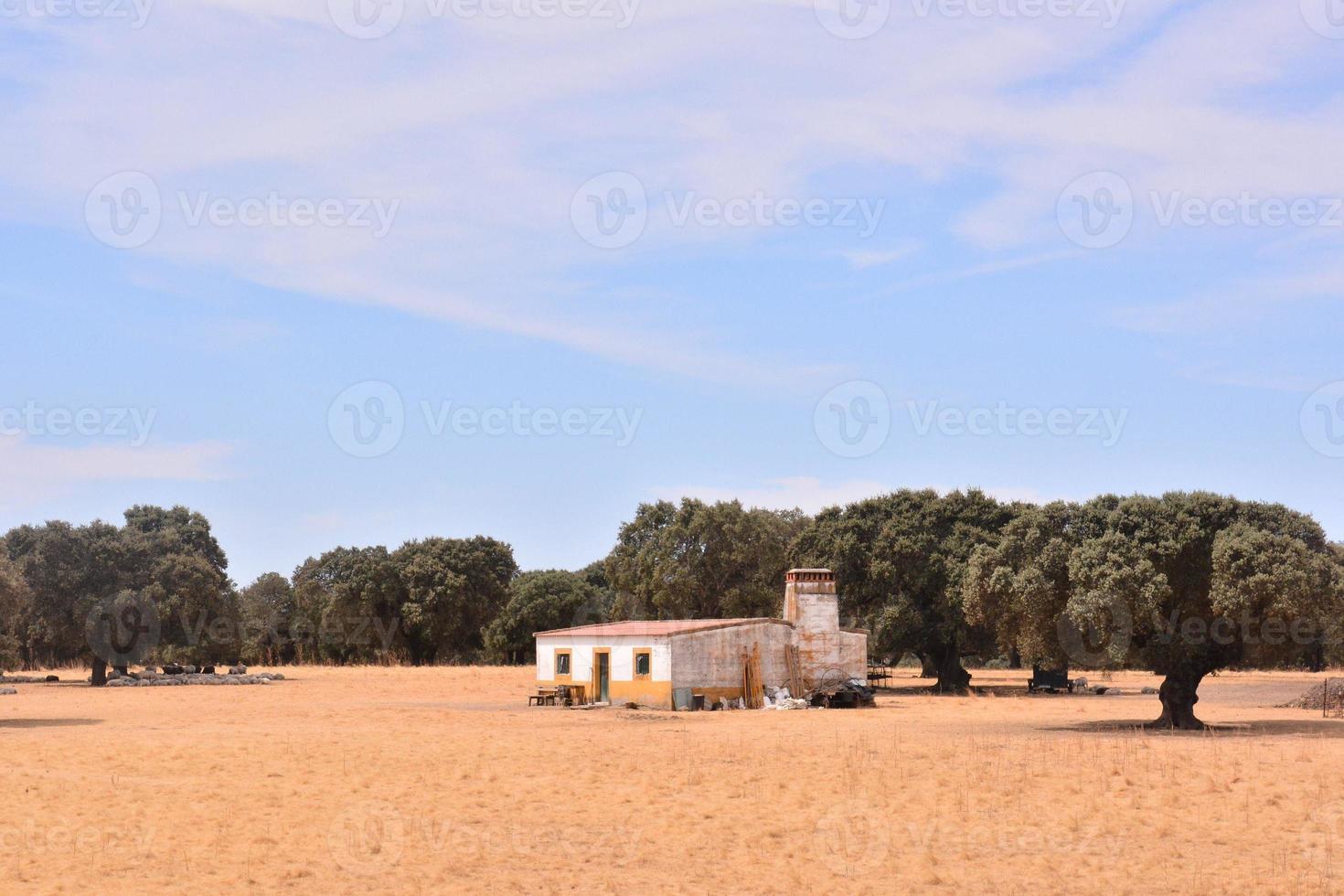 scénique rural paysage photo