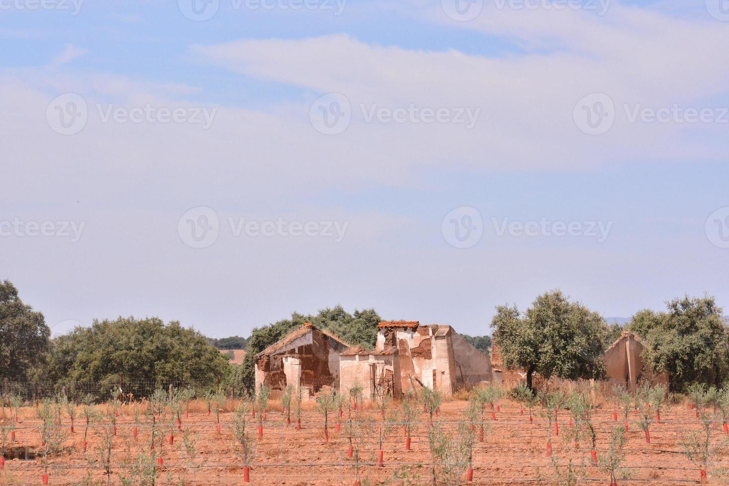 scénique rural paysage photo