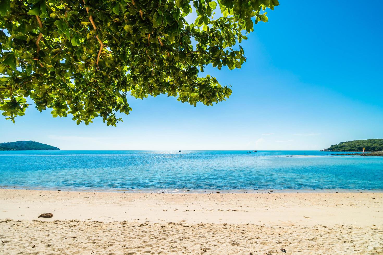 belle plage tropicale et mer photo