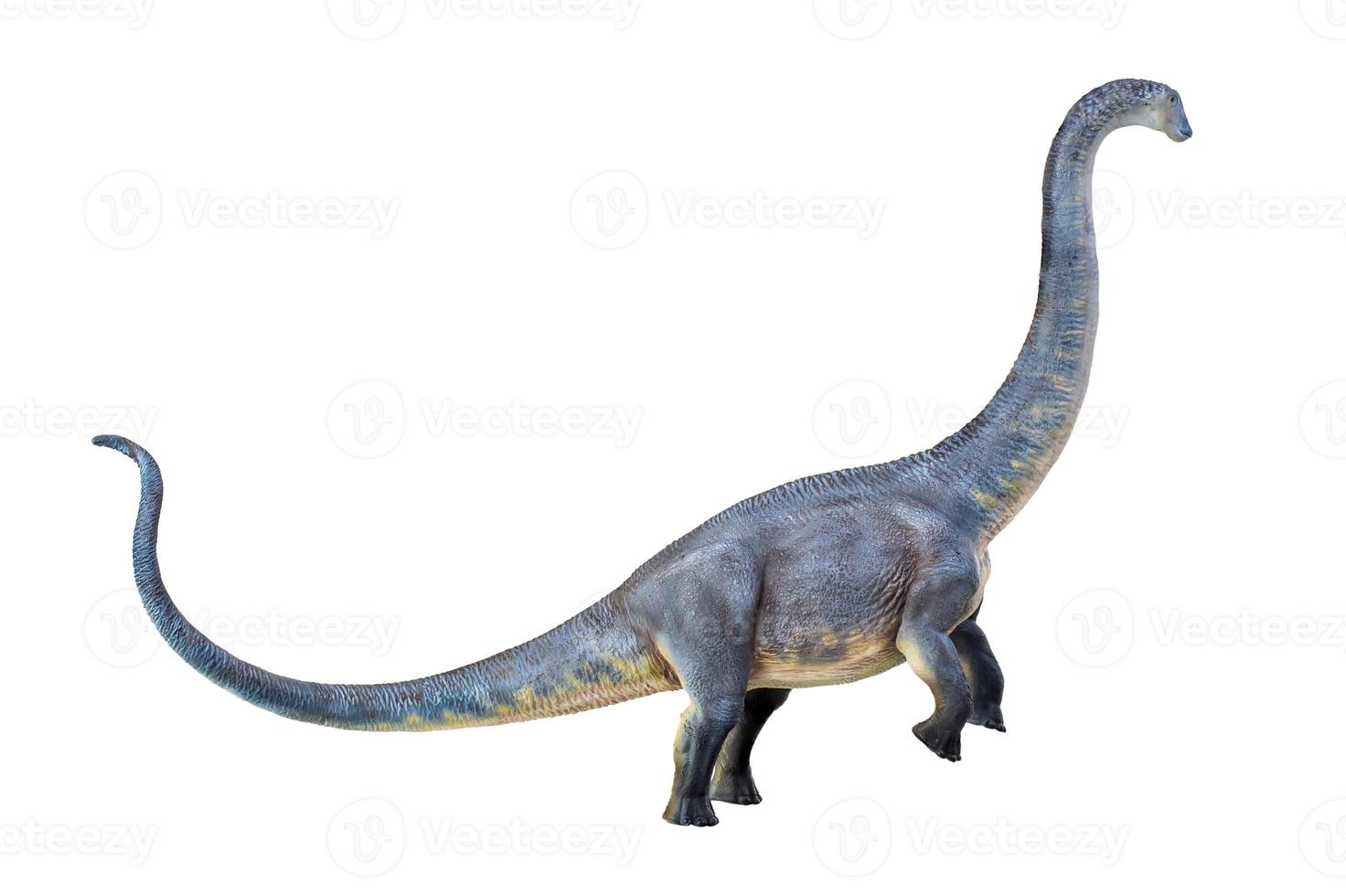 dinosaure , brontosaure isolé Contexte photo