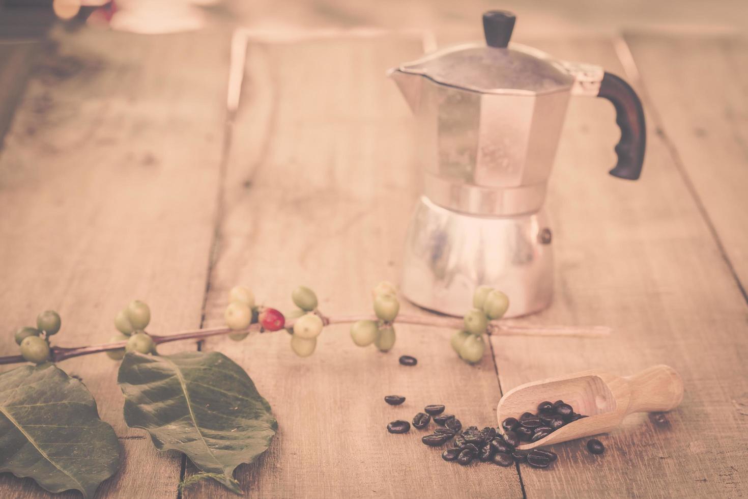 Frais café des haricots sur bois avec une moga pot photo