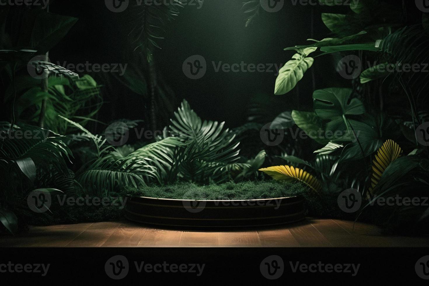 professionnel la photographie de un vide espace maquette podium avec une sur le thème de la jungle la nature Contexte pour une étourdissant visuel impact photo