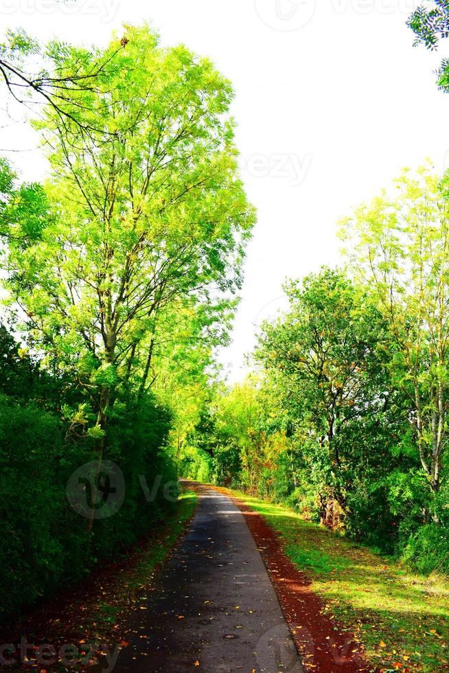 bicyclette route dans l'automne ambiance photo