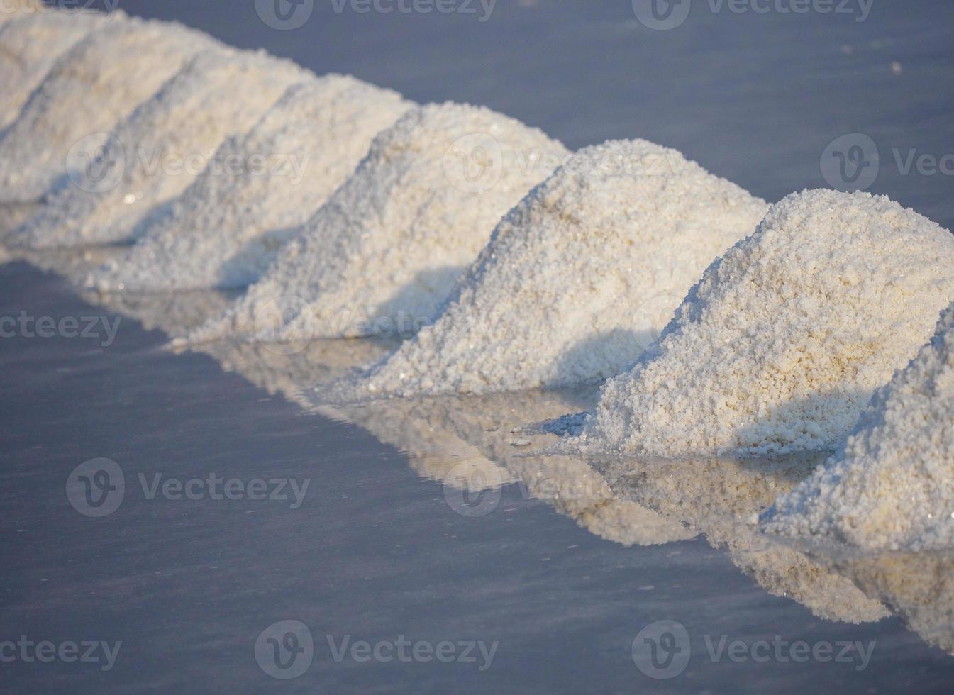 sel des champs évaporer dans sel. photo