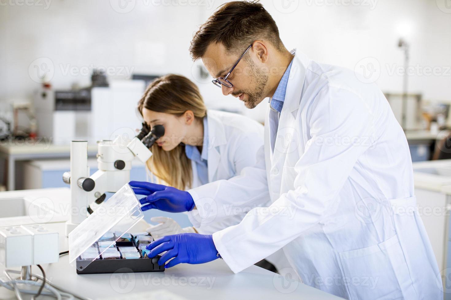 Groupe de jeunes chercheurs analysant des données chimiques en laboratoire photo