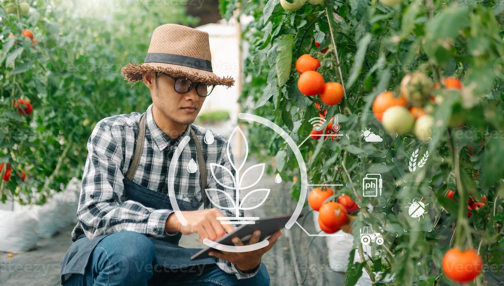 agriculture les usages production contrôle comprimés à moniteur qualité des légumes et tomate à serre. intelligent agriculteur avec vr icône photo