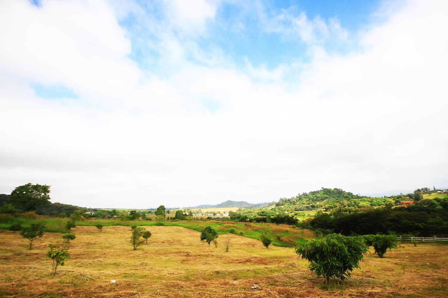 paysage de prairie et horticulture sur Montagne dans Thaïlande photo