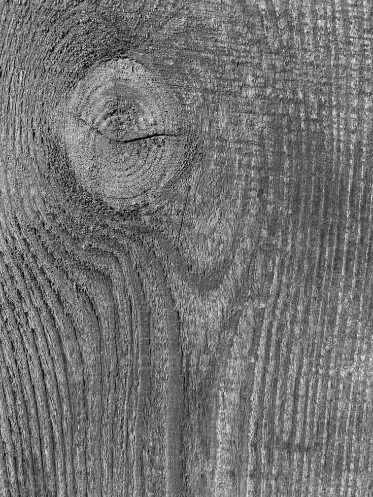 noir et blanc photo de en bois planche