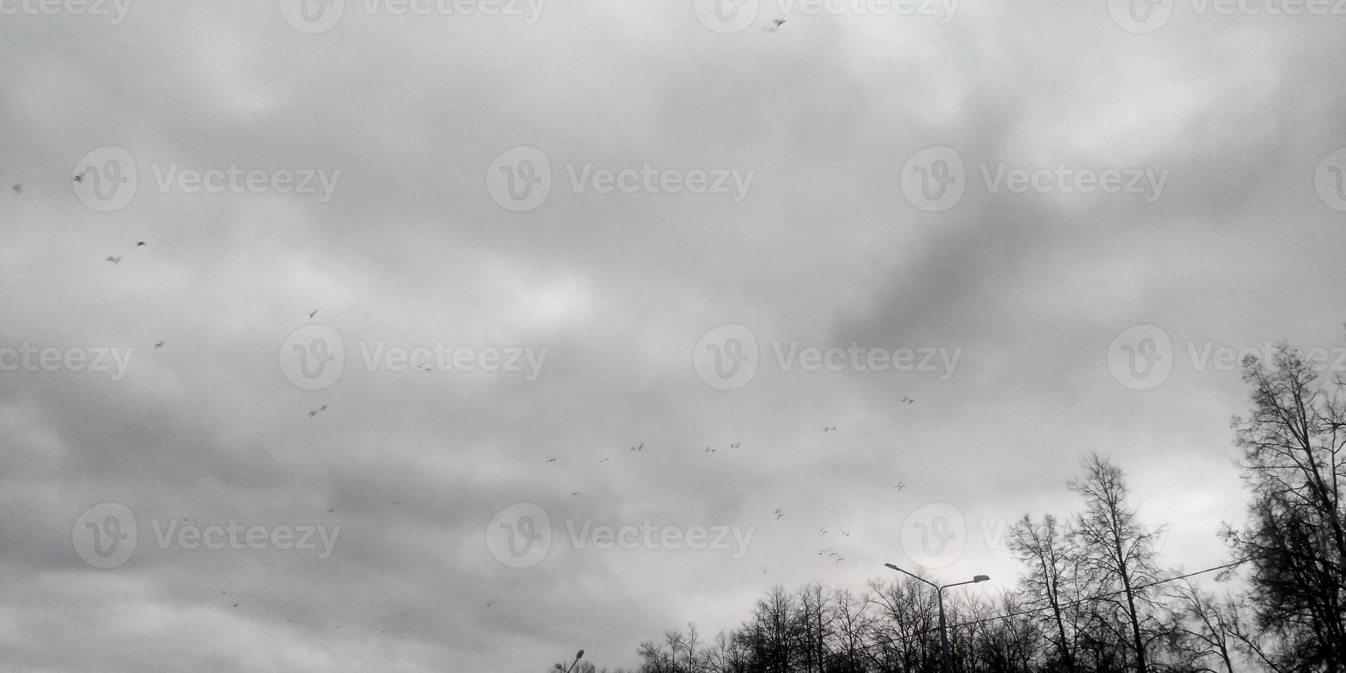 orageux foncé ciel. des oiseaux dans le ciel. nuageux temps. photo
