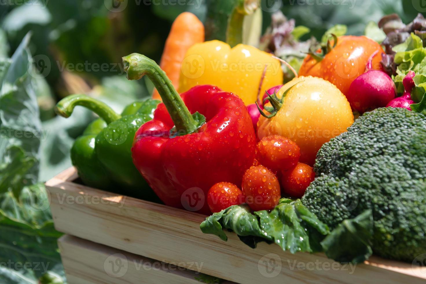 caisse en bois remplie de légumes bio frais photo