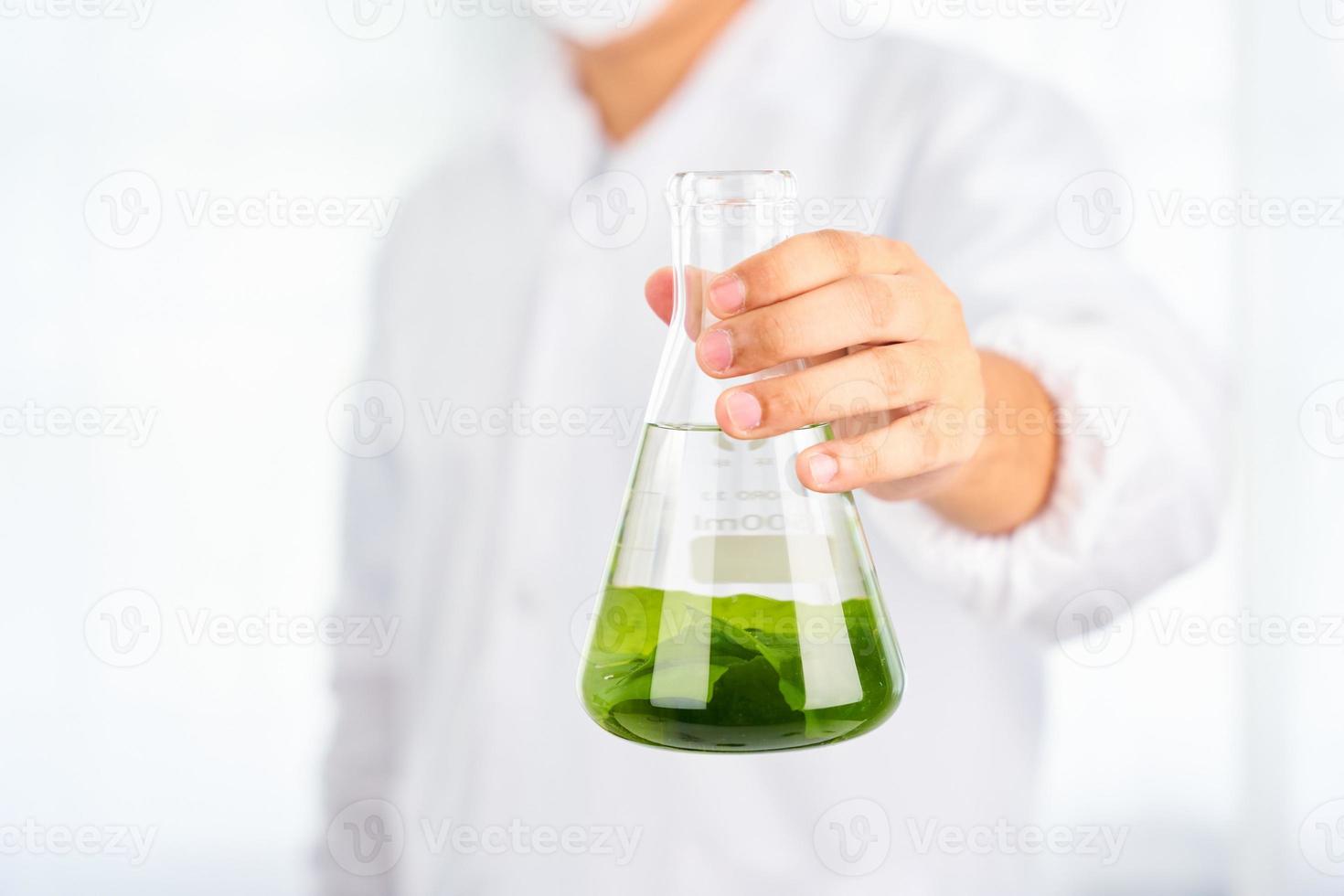 asiatique scientifique avec science recherche la biologie avec algue ou varech dans le laboratoire sur blanc Contexte photo
