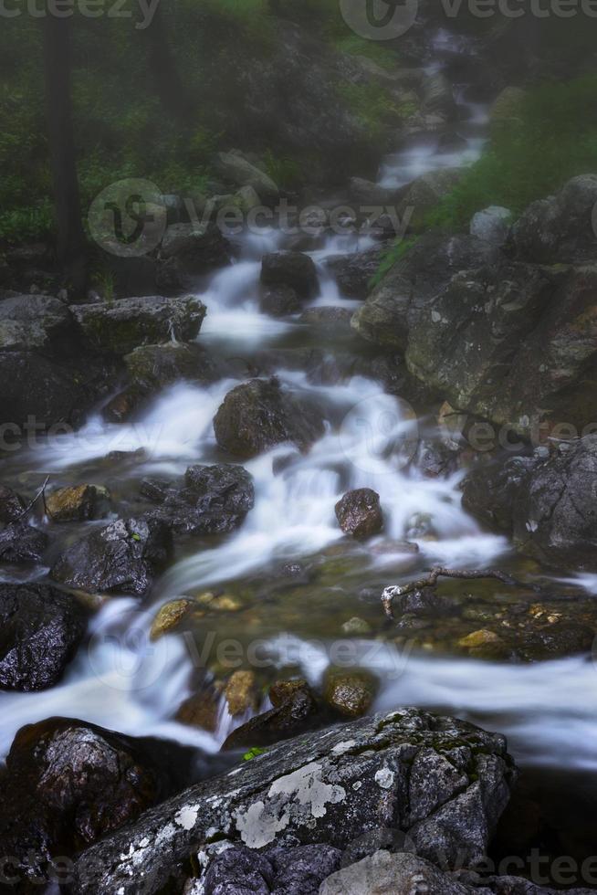 une brumeux journée dans une Montagne avec une petit rivière. verticale vue photo