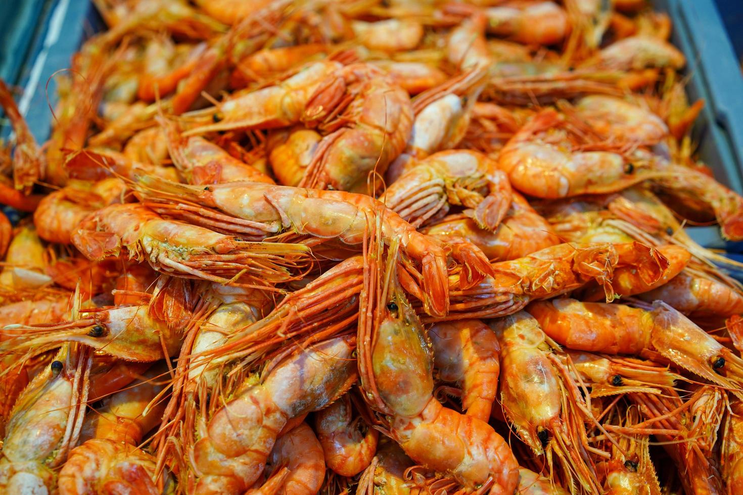 Tas de crevettes dans un marché à Vladivostok, Russie photo