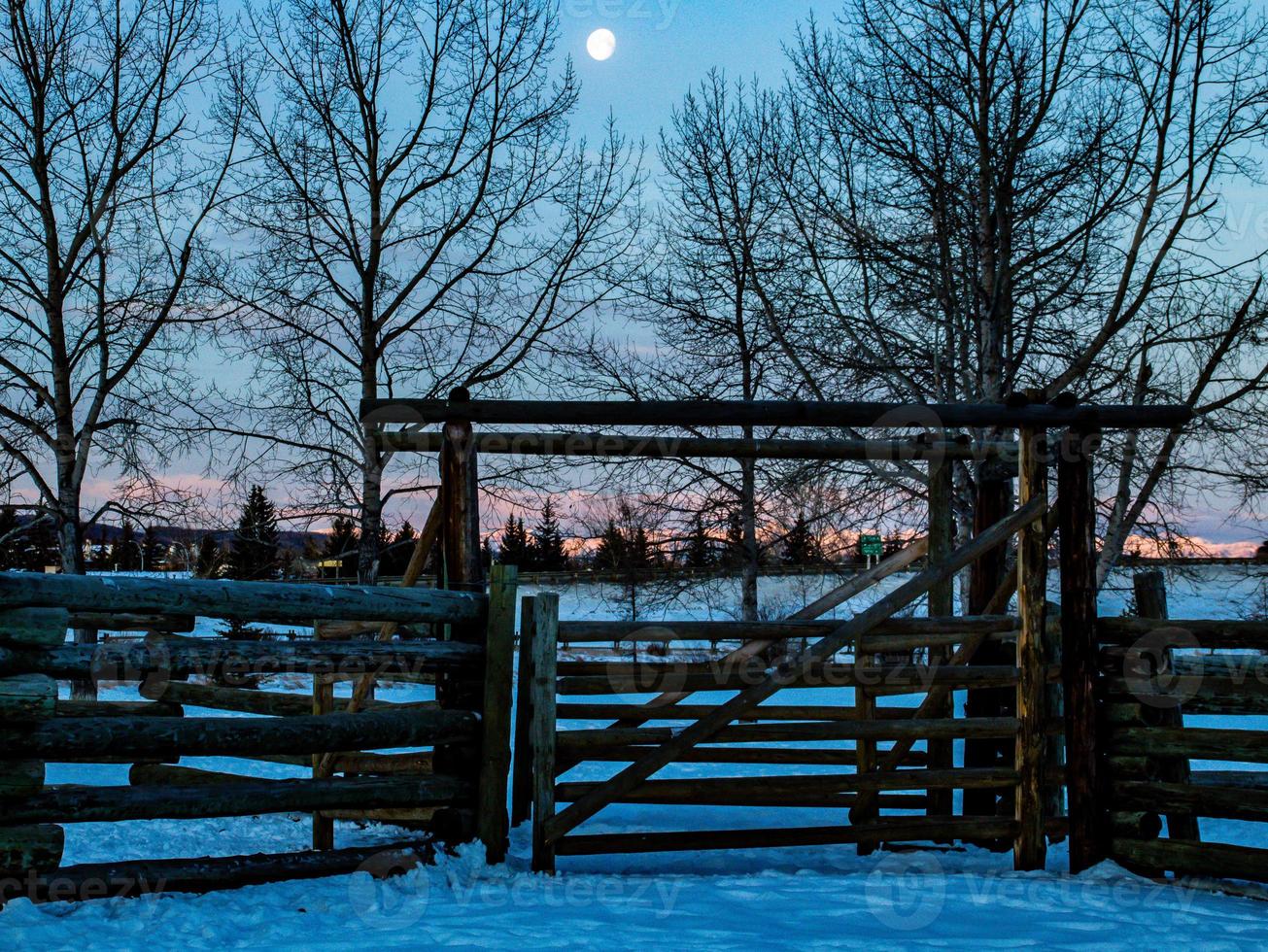 clôture et paysage d'hiver photo
