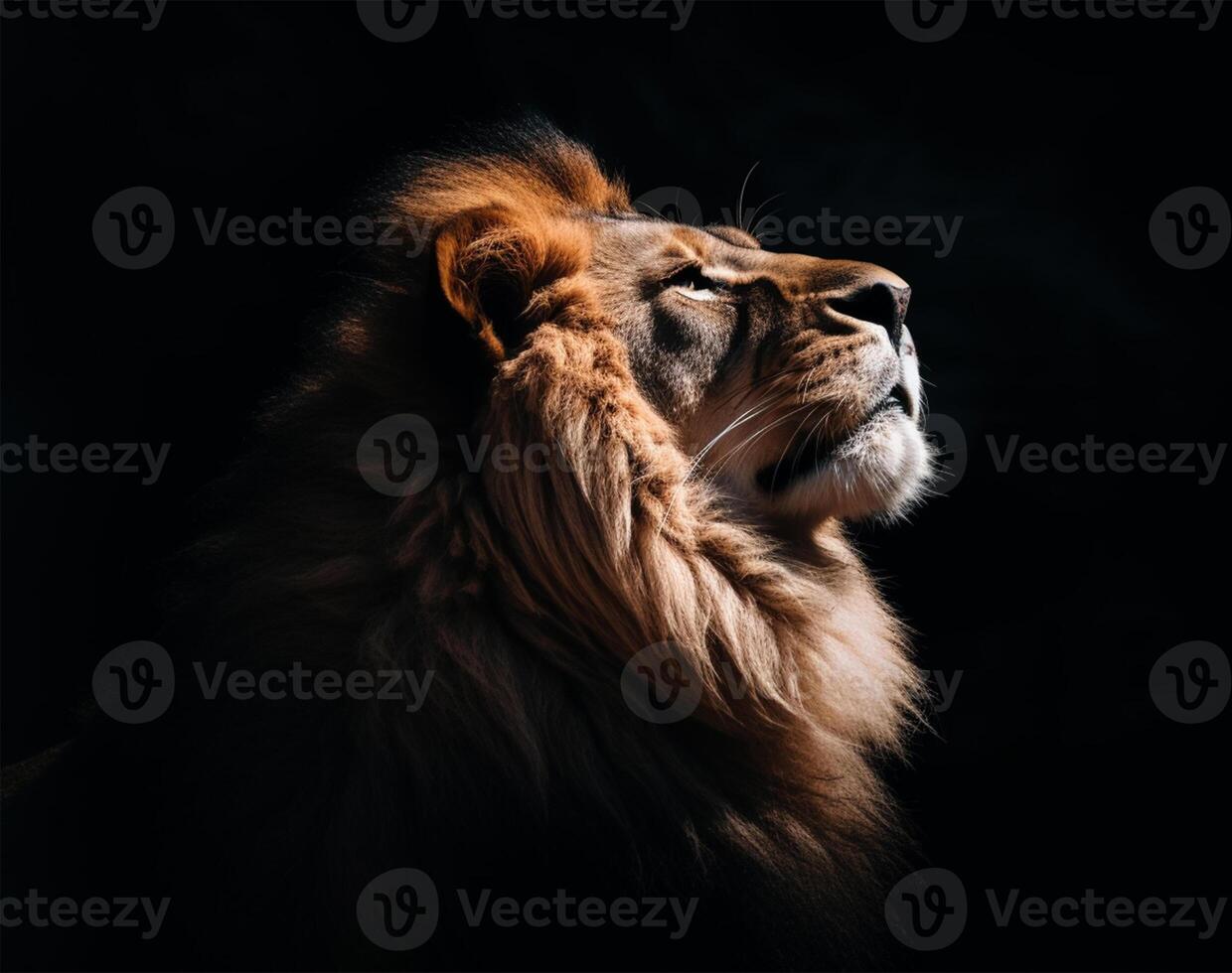 détaillé portrait de une les Lions affronter, isolé sur noir Contexte. génératif ai photo