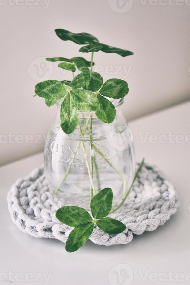 une bouquet de l champ quatre feuilles trèfles dans une petit vase sur une lumière lisse Contexte photo