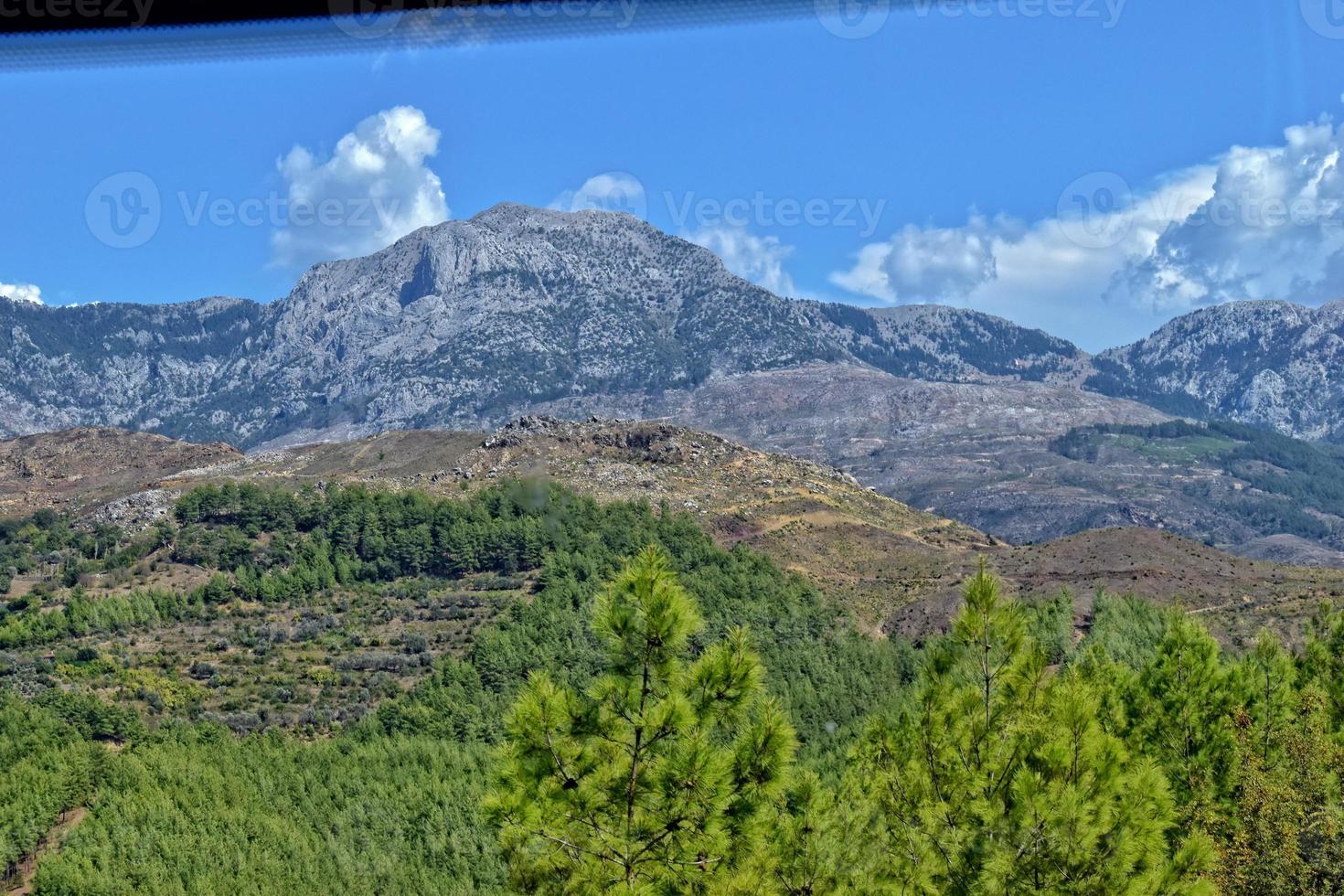 magnifique vue de le turc montagnes couvert avec vert forêt sur une été jour, photo