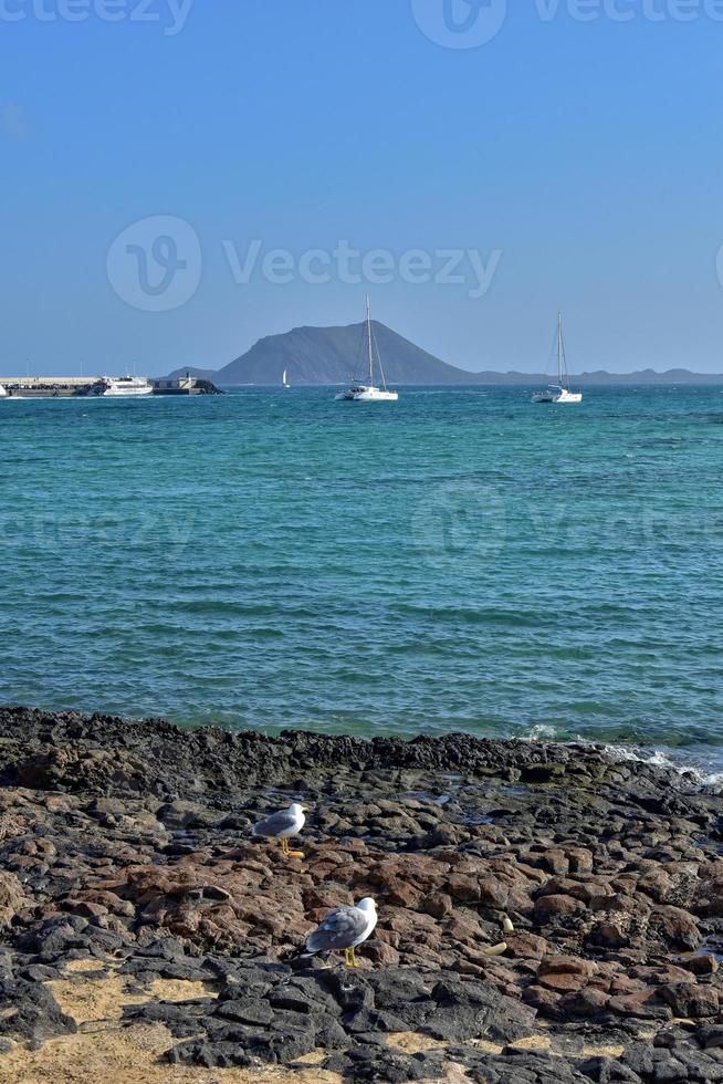 vue de le plage et bleu océan sur le canari île fuerteventura dans Espagne photo