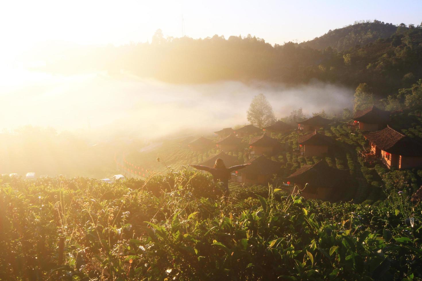 asiatique femme permanent retour et bras ouvert air dans paradis de liberté la vie dans magnifique brouillard et lever du soleil sur le Montagne. Succès concept photo