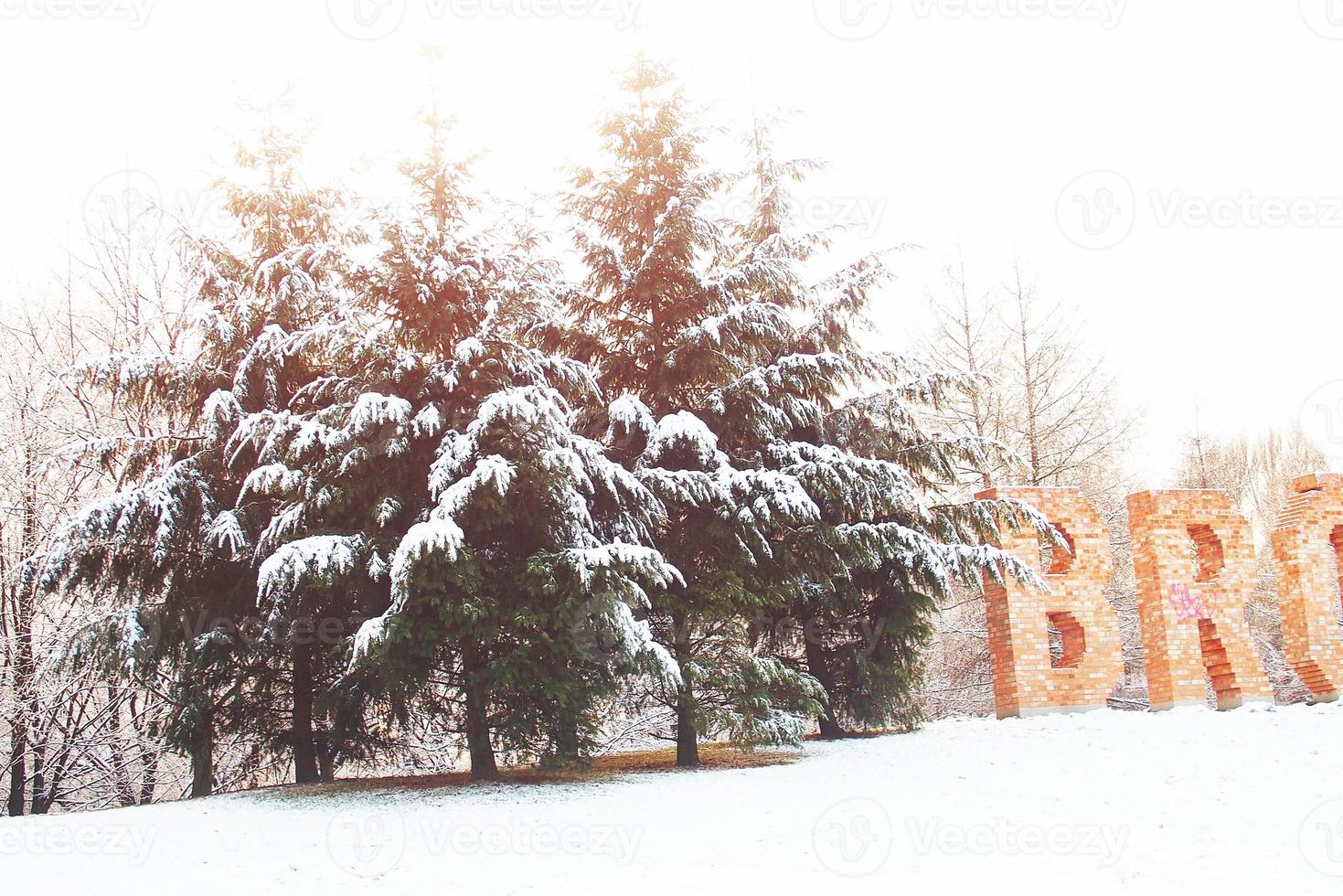 hiver paysage avec Frais neige et des arbres photo