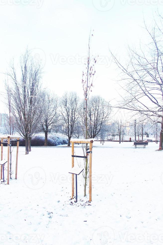 hiver paysage avec Frais neige et des arbres photo