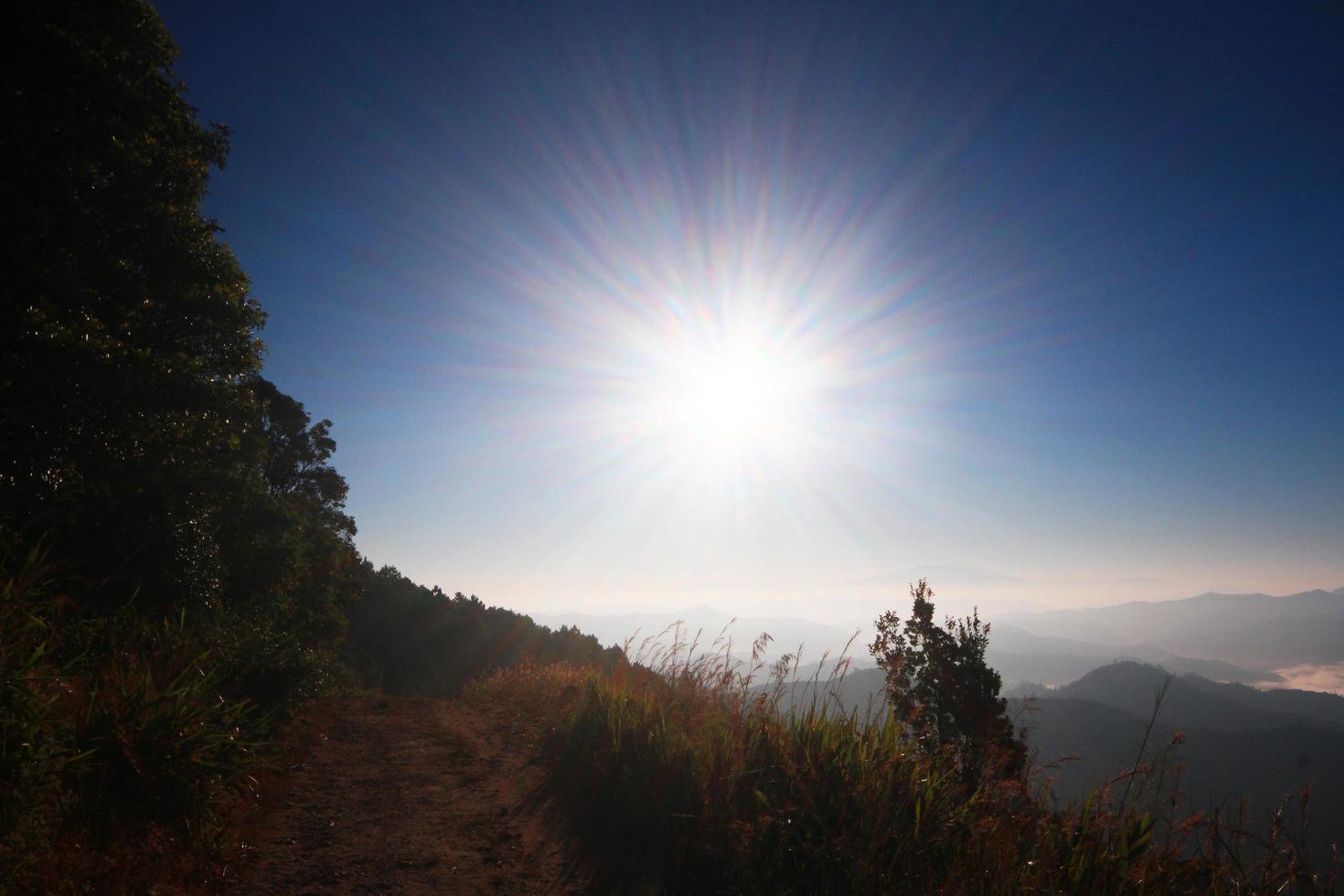 magnifique fleurir sauvage et forêt dans crépuscule le coucher du soleil et Naturel brouillard avec lumière du soleil brillant sur Montagne photo