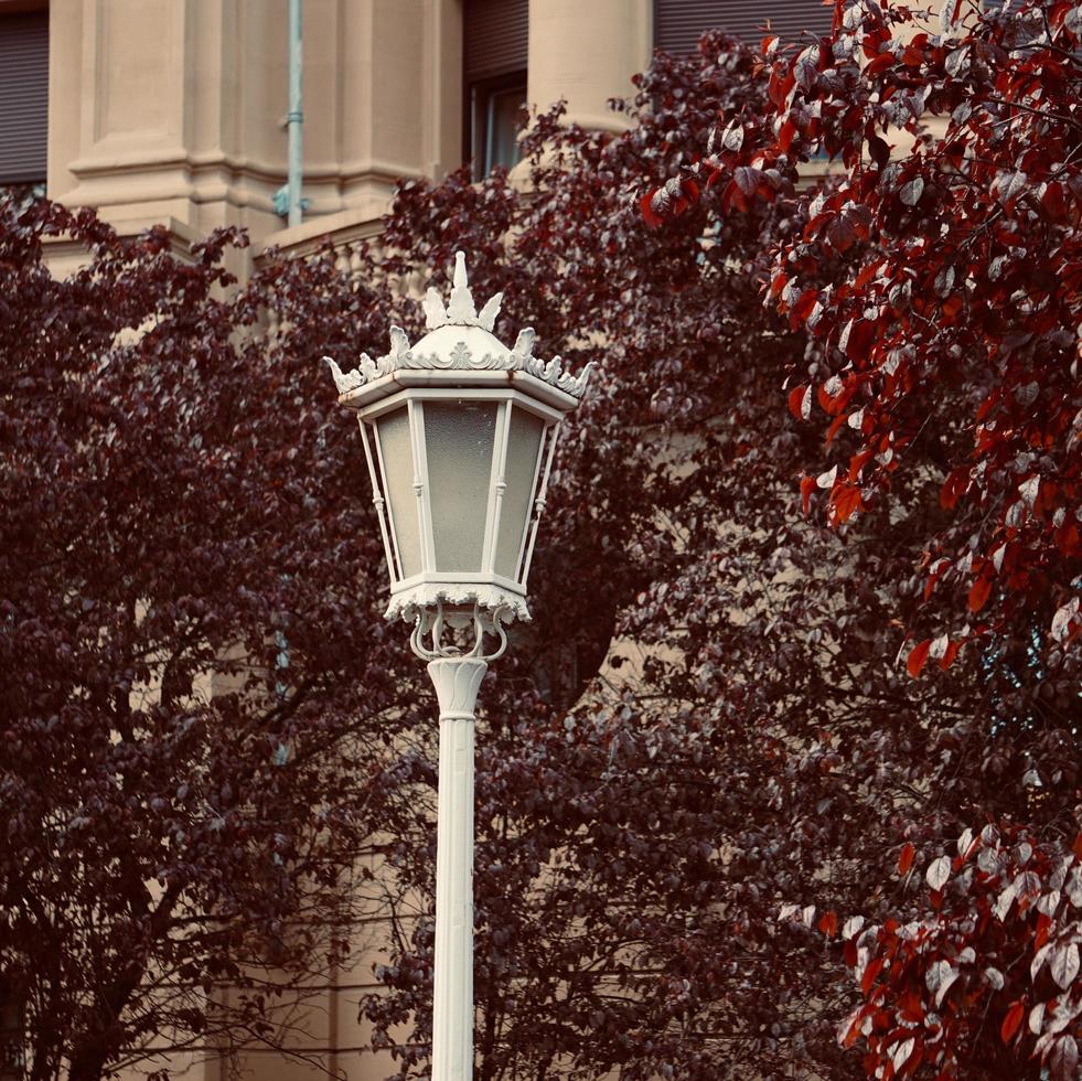 lampadaires dans la ville photo