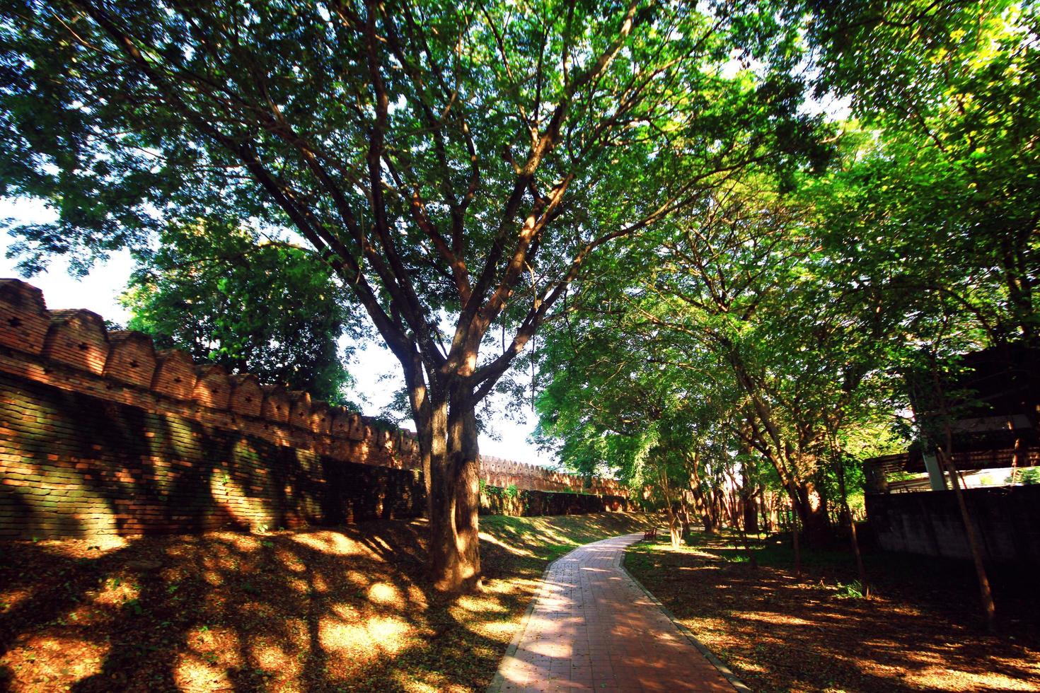 façon chemin dans jardin près historique ville brique mur à nan province, Thaïlande photo