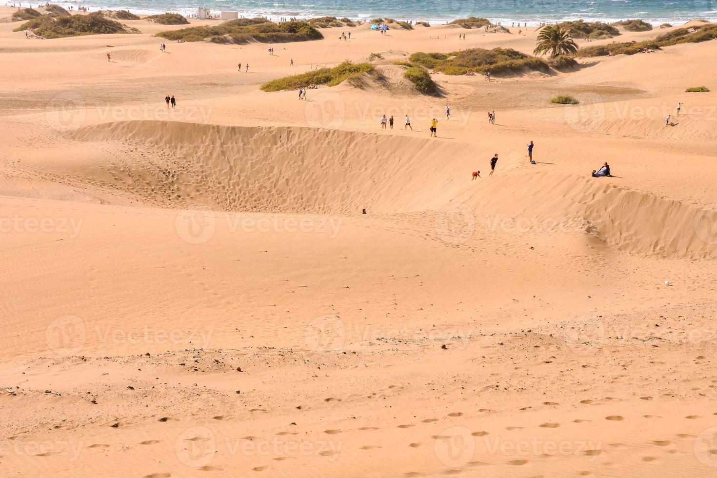 dunes de sable en bord de mer photo