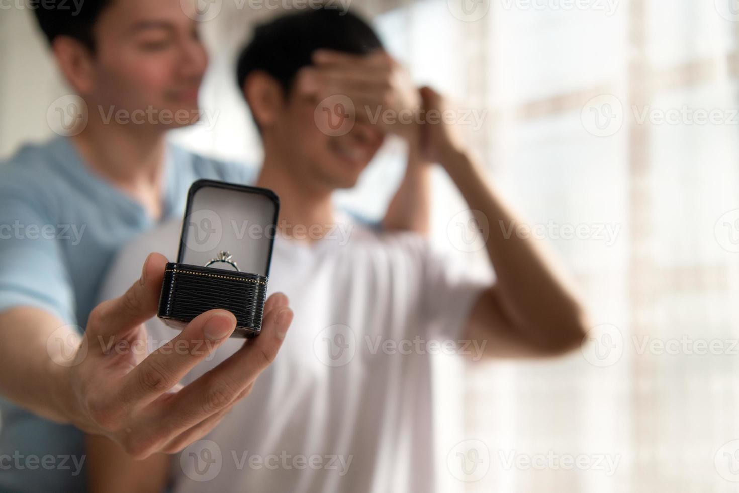 lgbt des couples avoir montré leur l'amour pour chaque autre par portant engagement anneaux. à confirmer cette elles ou ils volonté vivre ensemble pour toujours photo