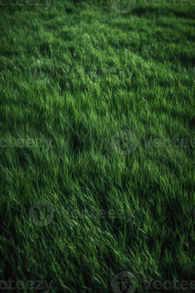 champ de texture d'herbe verte fraîche en arrière-plan 2980416 Photo de  stock chez Vecteezy