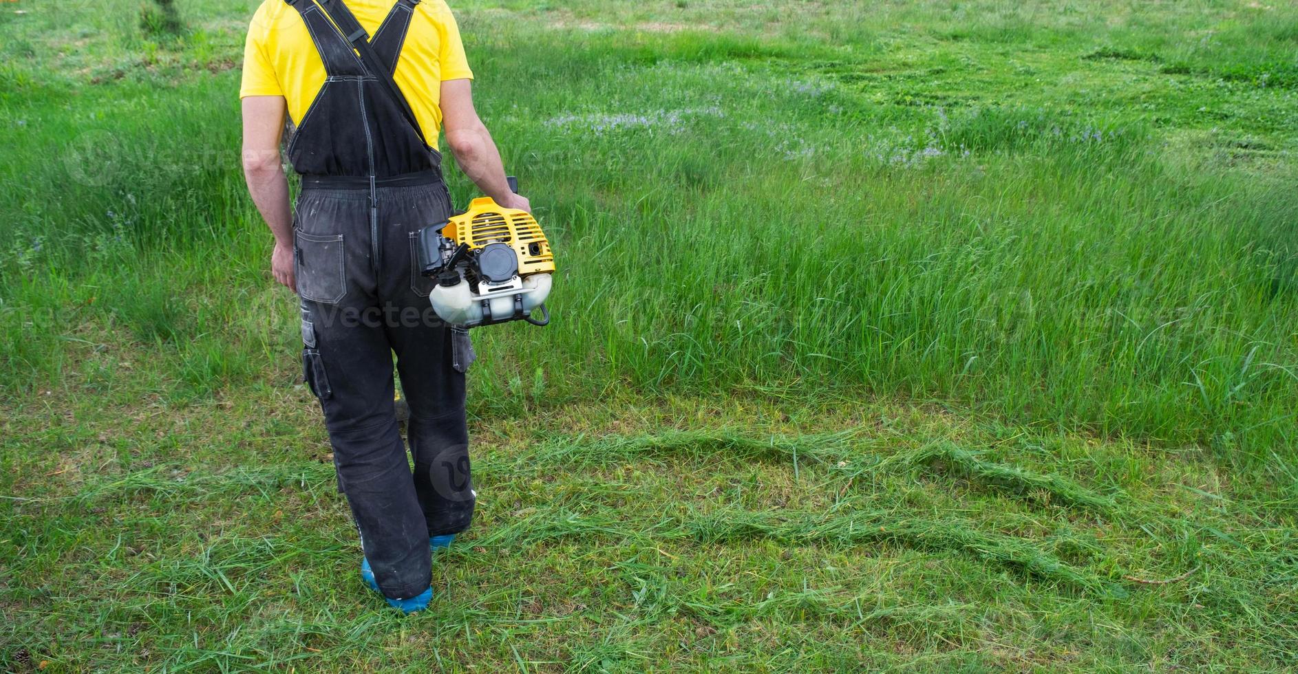 une Masculin jardinier tond le vert herbe de le pelouse dans le arrière-cour avec une de l'essence tondeuse. tondeuse pour le se soucier de une jardin terrain photo