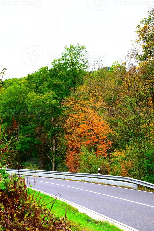 route dans la forêt d'automne photo