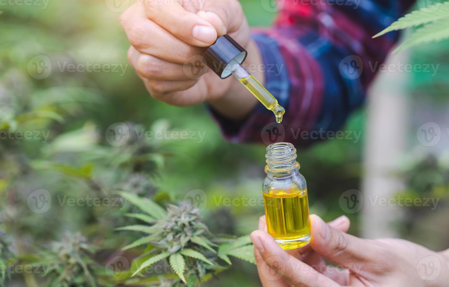 main en portant bouteille de cannabis pétrole dans pipette, cbd cannabis huile, Naturel herbe, chanvre produit, médical marijuana concept. photo