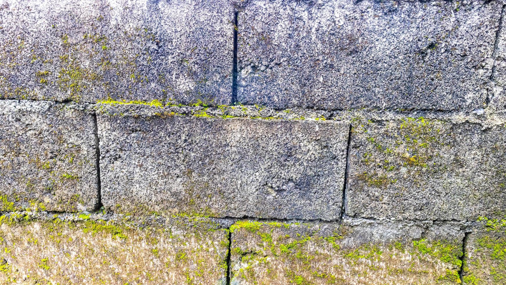mur de briques moussu en arrière-plan photo