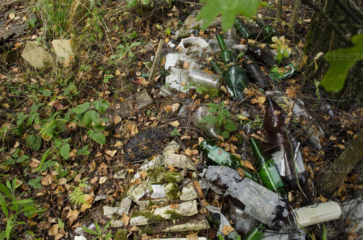 des ordures dans le forêt. écologique problème. photo