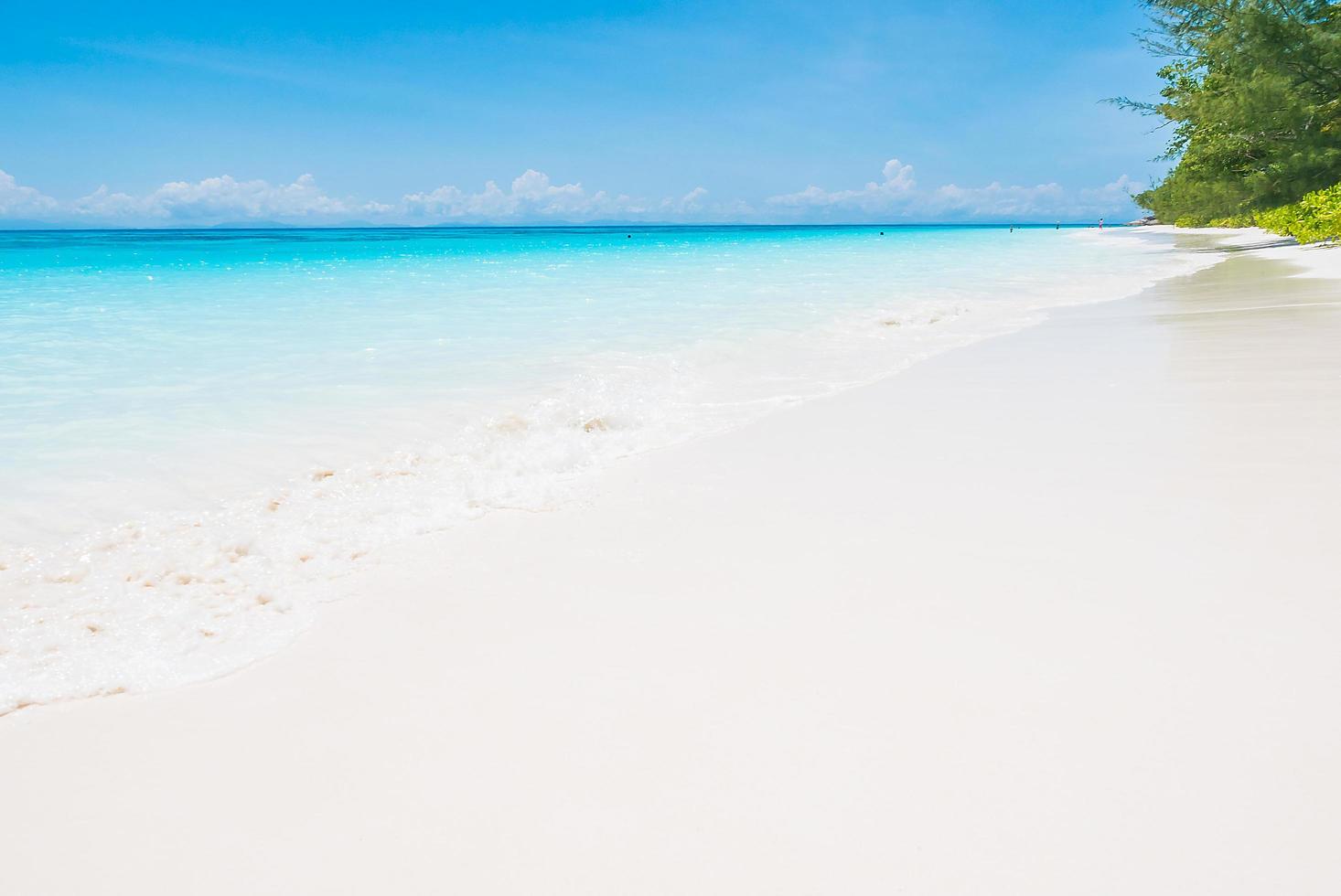 beau fond de plage tropicale photo