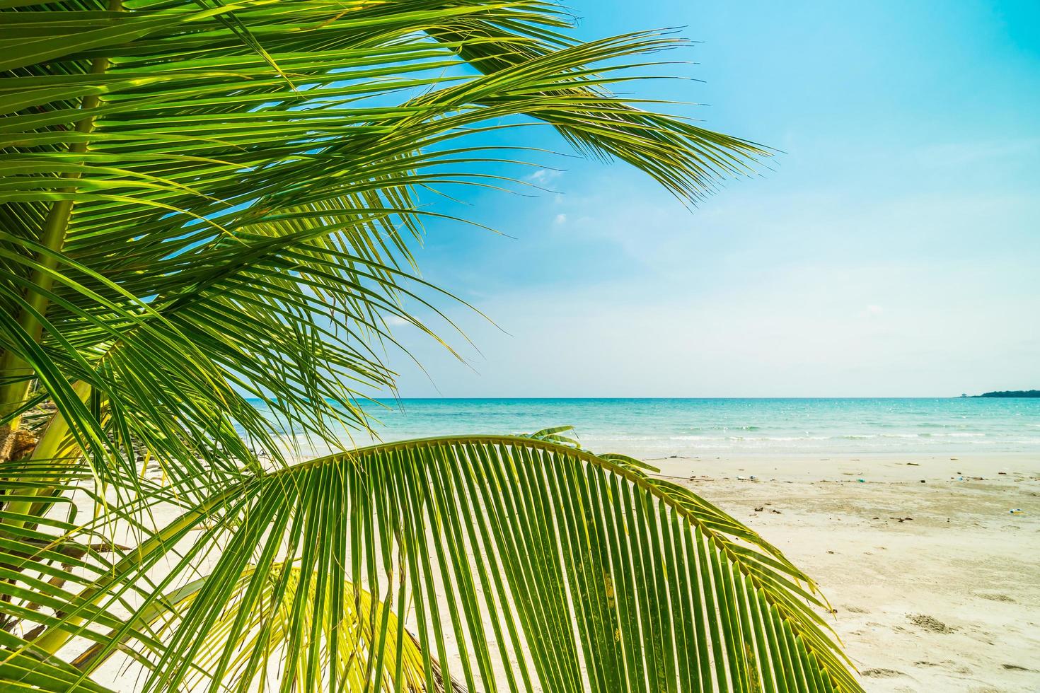 belle plage tropicale et mer photo