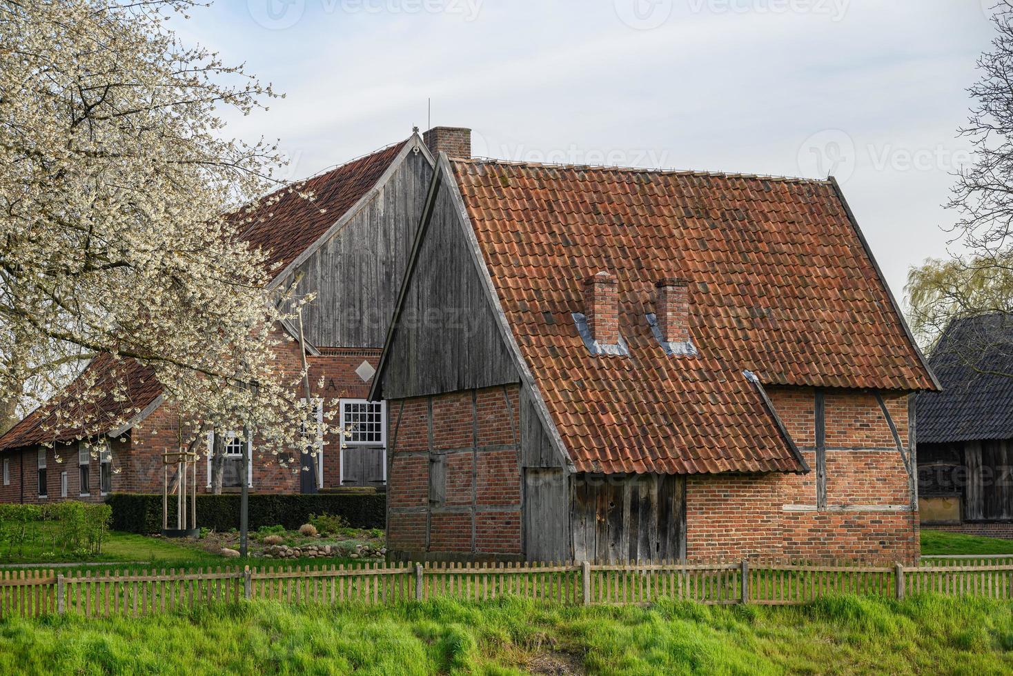 le printemps en westphalie photo