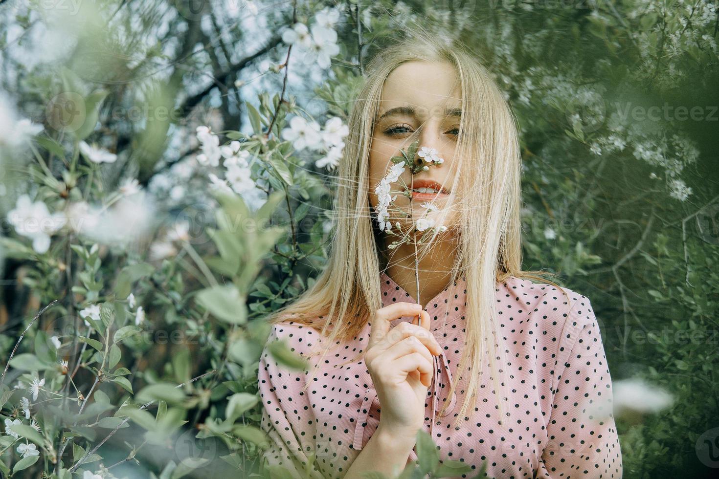 blond fille sur une printemps marcher dans le jardin avec Cerise fleurs. femelle portrait, fermer. une fille dans une rose polka point robe. photo