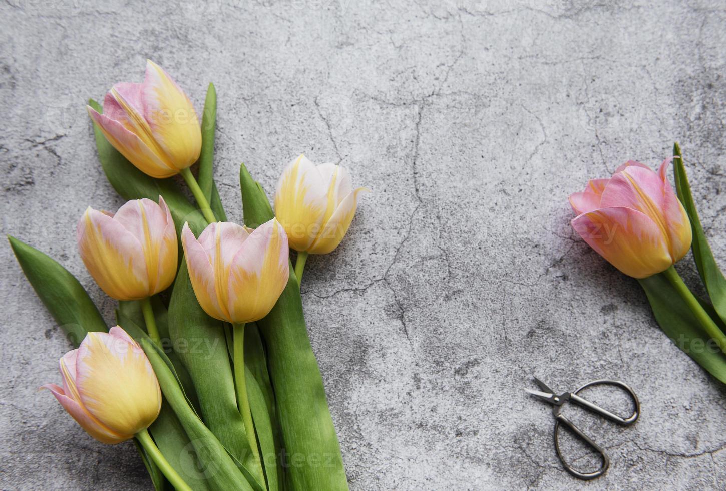 tulipes de printemps sur fond de béton photo