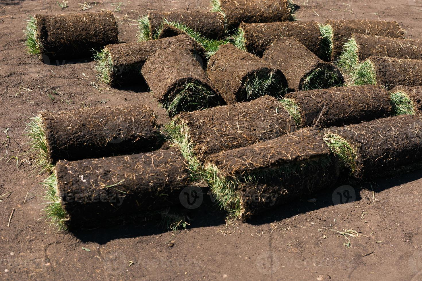 rouleaux d'herbe à gazon aux beaux jours - maison de campagne et aménagement paysager photo