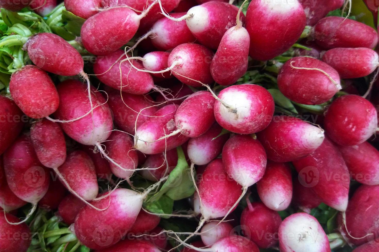 Pile de radis sur un étal de marché photo