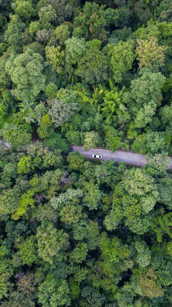 Vue de dessus aérienne voiture roulant à travers la forêt sur route de campagne, vue depuis un drone photo