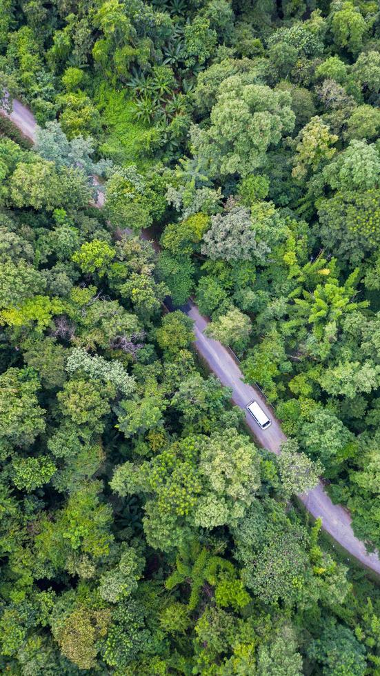 Vue de dessus aérienne voiture roulant à travers la forêt sur route de campagne, vue depuis un drone photo