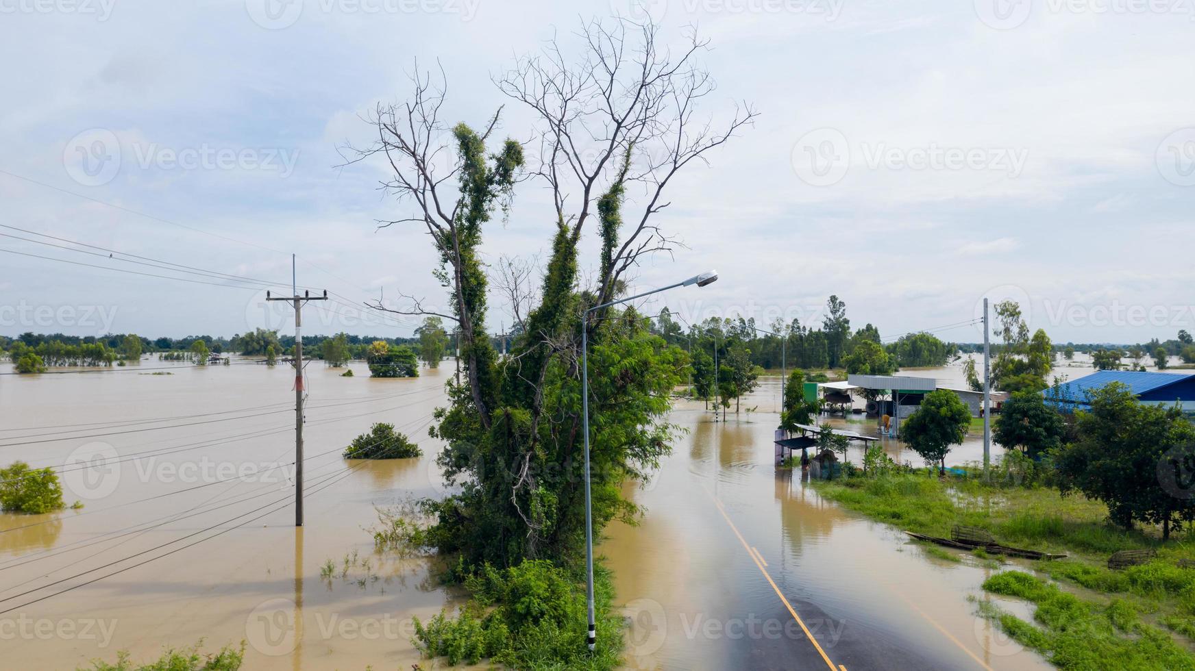 Vue aérienne de dessus des rizières inondées et du village photo